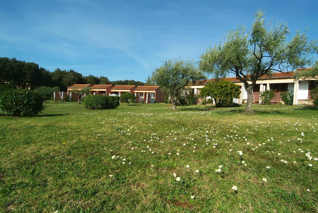 Koversada Rooms Vrsar Exterior photo